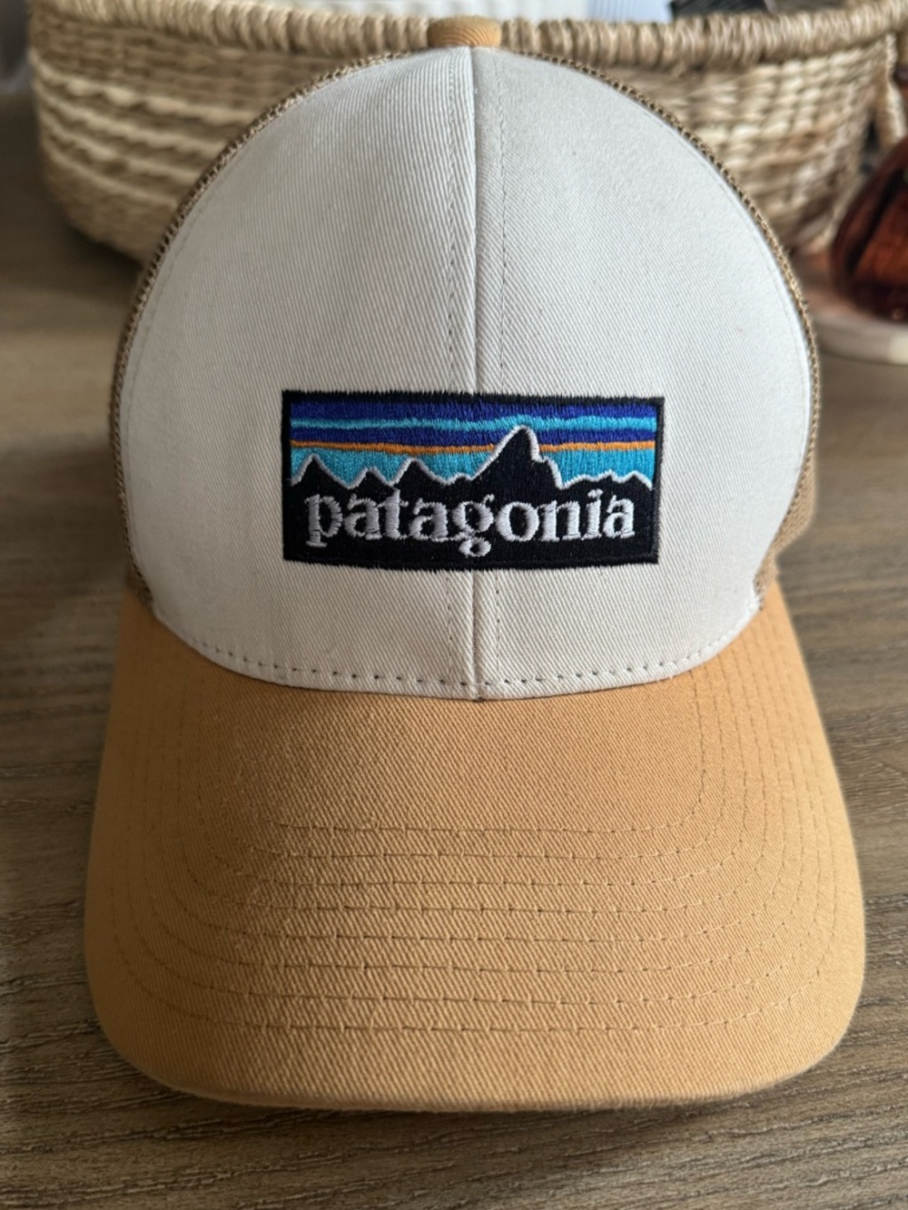 ✨2/$30 Mix & Match✨ Patagonia Ball Cap - Mesh Back Ball Cap